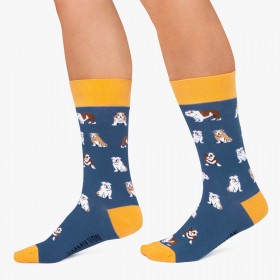 Calcetines Jimmy Lion Bulldogs