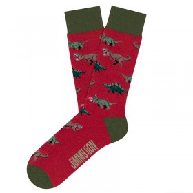 Calcetines Jimmy Lion Jurassic Dinos